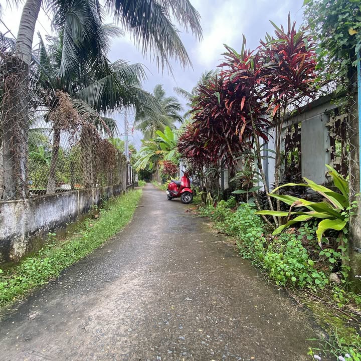 Đất thổ cư Nhơn Thạnh Bến Tre 563m² giá 1,5 tỷ - Khu nghỉ dưỡng lý tưởng!