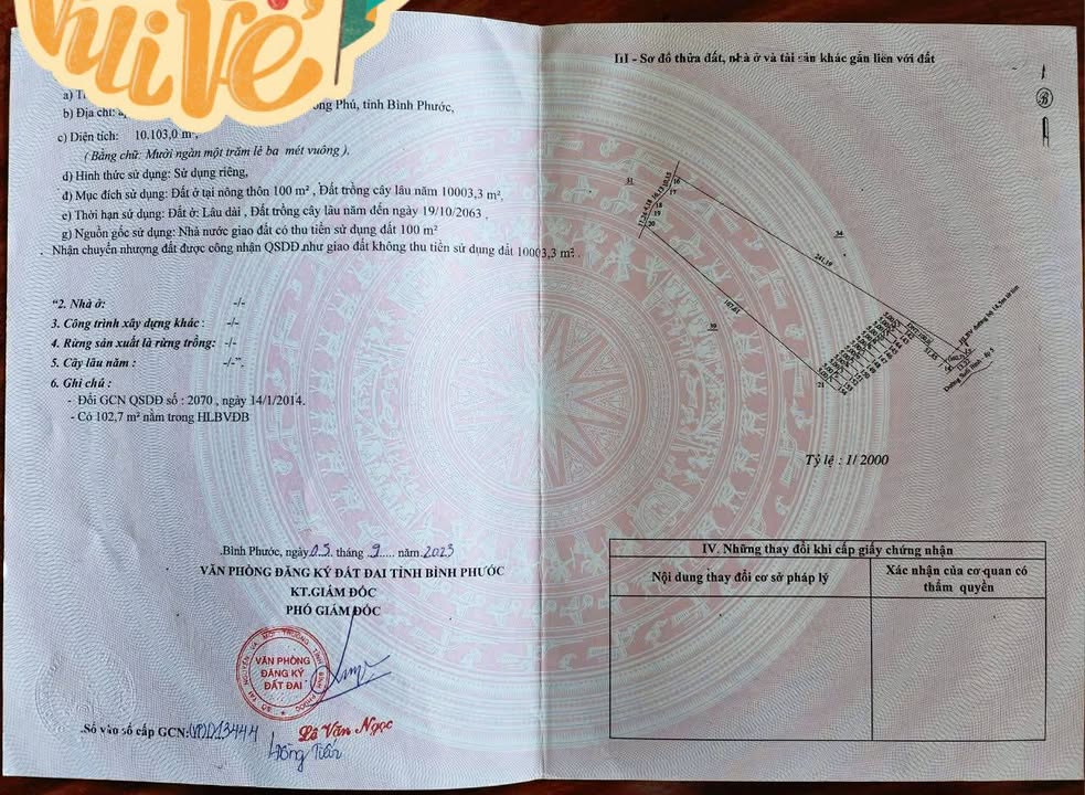 Đất rẫy cao su Đồng Tiến 1ha giá 2.8 tỷ - Đầu tư sinh lời ngay!