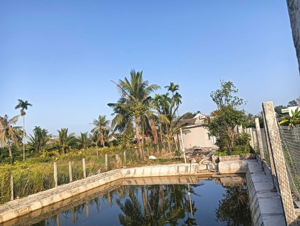 Nhà vườn Hòa Nghĩa Dương Kinh 360m² giá chỉ 1 tỷ - Đầu tư sinh lời ngay!