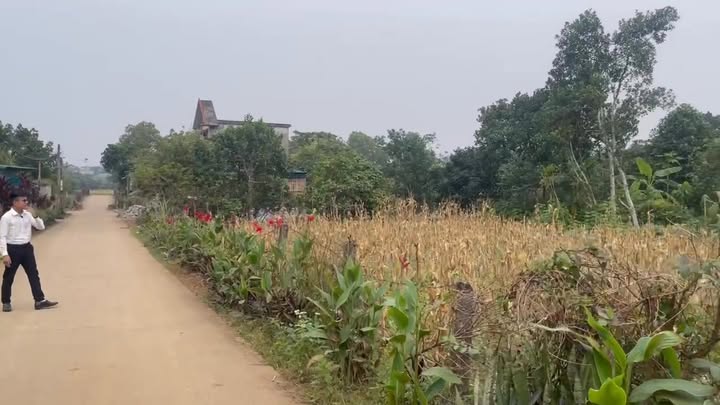 Đất thổ cư Ninh Bình 702m² giá thỏa thuận - Phù hợp xây homestay nghỉ dưỡng