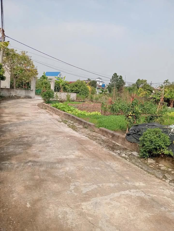 Đất nền 600m² tại thôn Phù Oanh - Hưng Yên, giá thỏa thuận hấp dẫn!