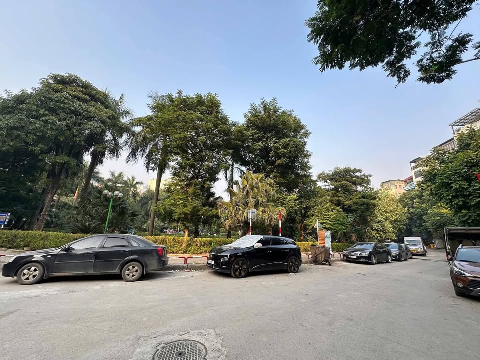 Đất vườn Trần Quang Diệu Đống Đa 357m² giá 125 tỷ - Độc bản trung tâm thành phố!