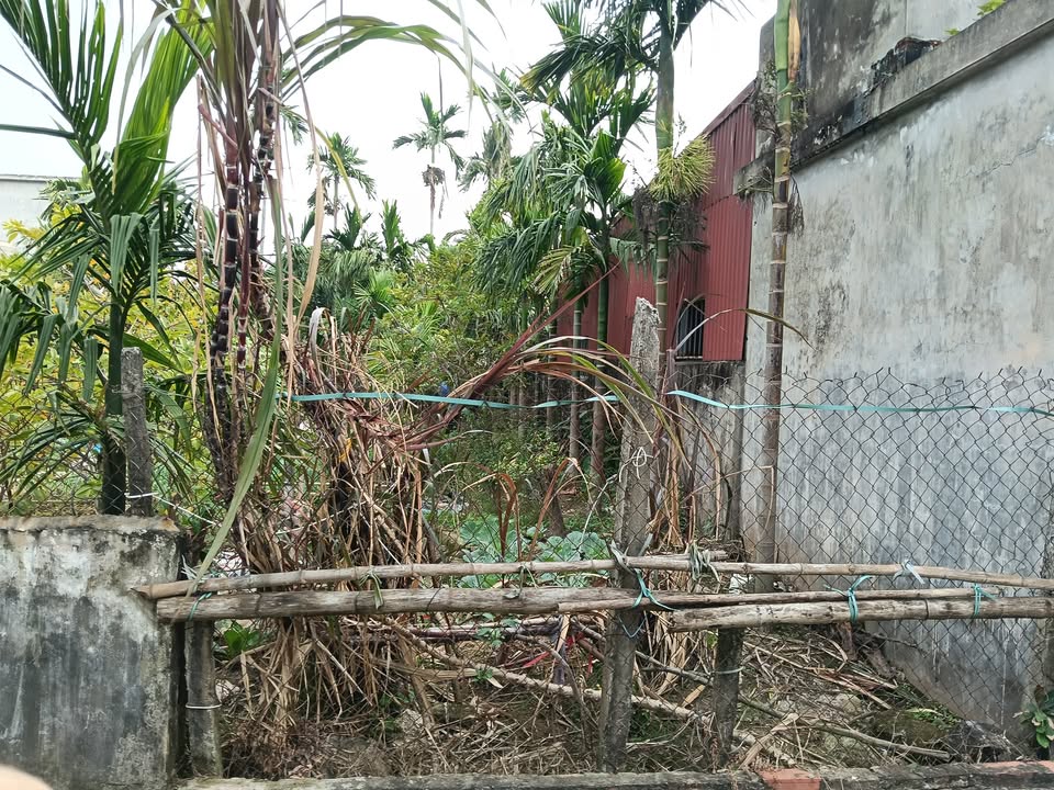 Đất nền Bạch Long, Giao Thủy 152m² giá 1.39 tỷ - Đầu tư sinh lời ngay!