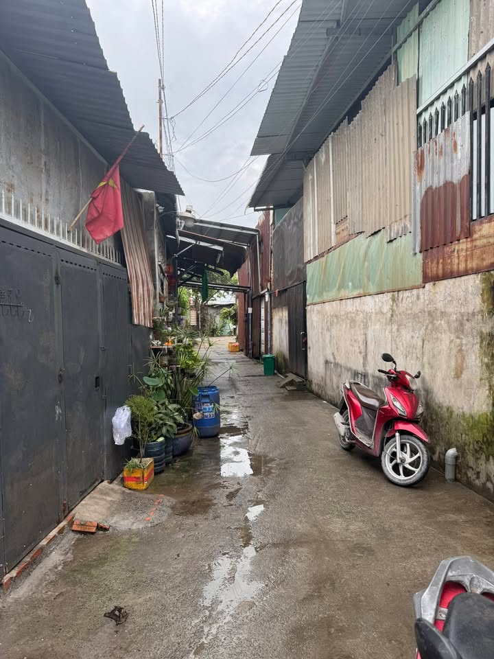 Nhà phố Thạnh Xuân, Quận 12, 56m², giá 1.45 tỷ - Thiết kế hiện đại, tiện nghi!