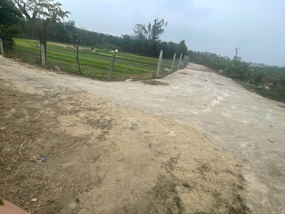 Đất nền 100m² đường Nguyễn Văn Ngợi giá 1.96 tỷ - Đầu tư tiềm năng tăng giá!