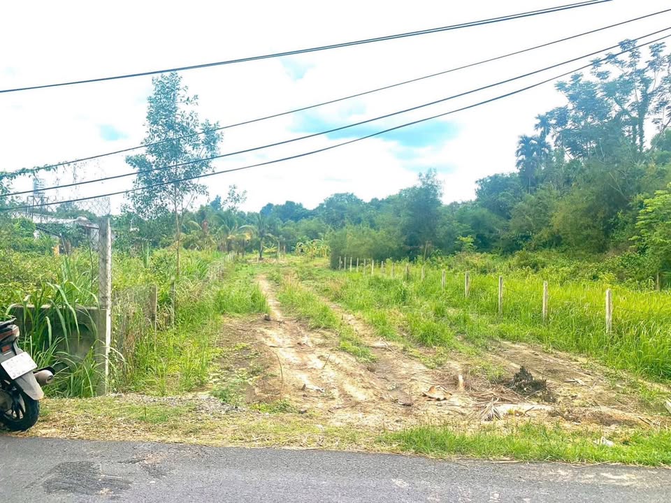 Đất thổ cư đường Phạm Thị Thàng, Củ Chi 400m² giá 3.5 tỷ - Đầu tư sinh lời tuyệt vời!