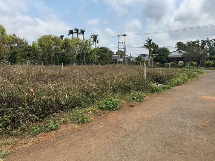 Đất thổ cư Hòa Thuận Buôn Ma Thuột 120m² giá 979 triệu - Thoáng đãng, ô tô tránh nhau thoải mái!