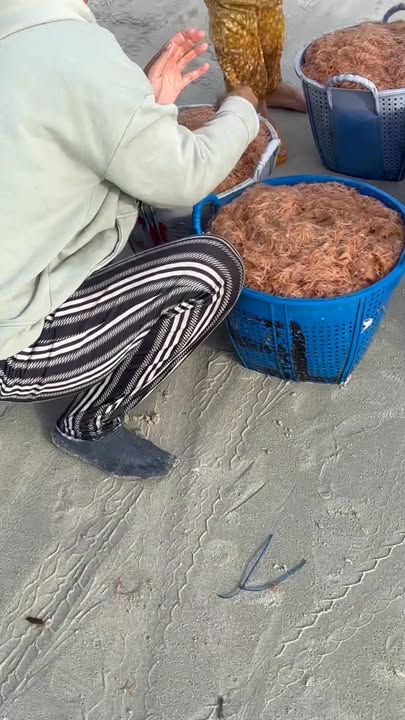 Đất thổ cư Ninh Hải 370m² giá 7.4 tỷ - Cách biển chỉ 500m!