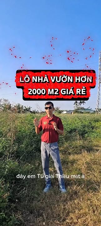 Lô đất vườn 2000m² tại Dương Kinh - Mặt tiền rộng 12m, giá thương lượng!