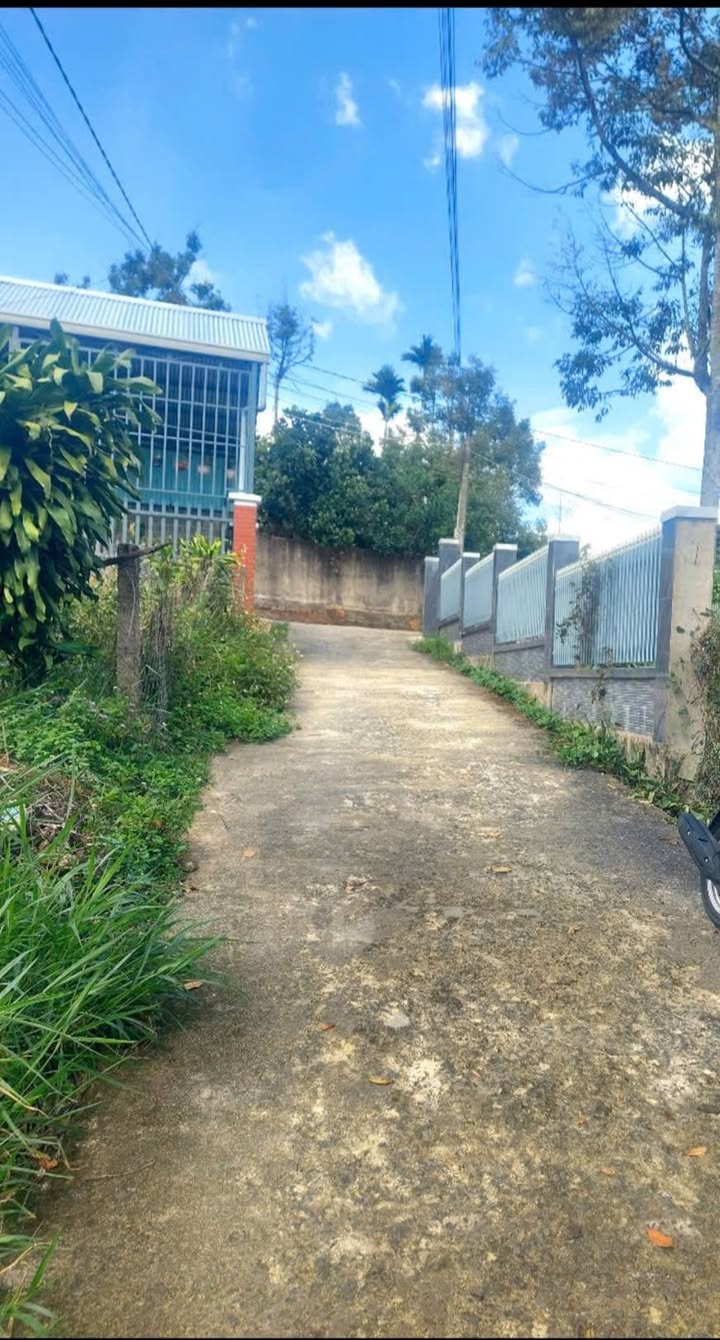 Đất nền Bảo Lộc 960m² giá 3.45 tỷ - Đầu tư homestay lý tưởng!