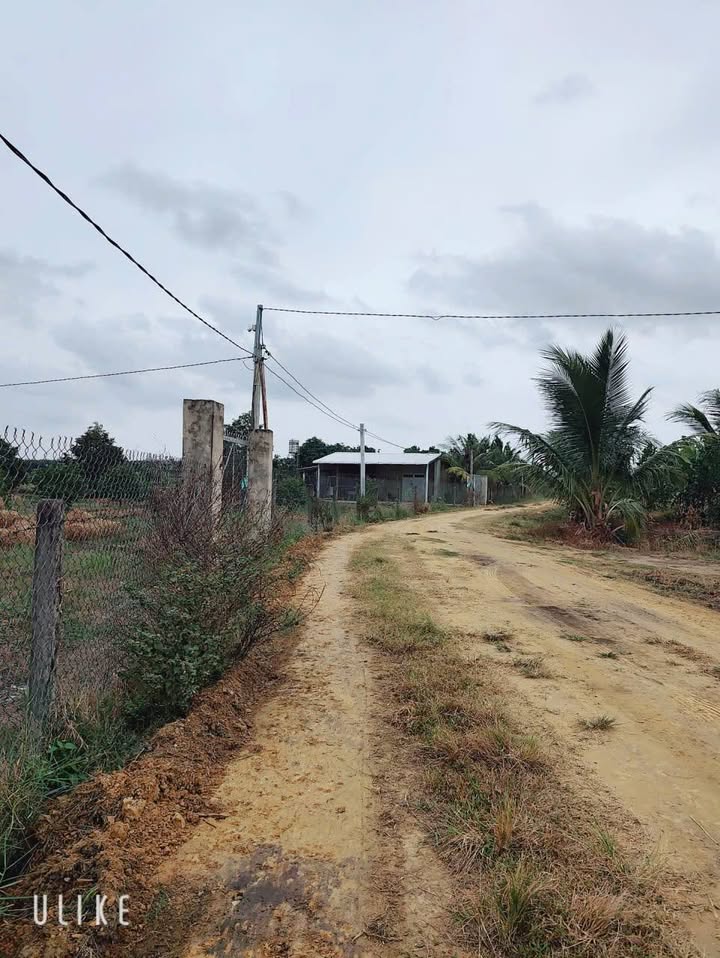 Đất nền Phước Minh Dương Minh Châu 200m² chỉ 259 triệu - Sổ đỏ chính chủ!