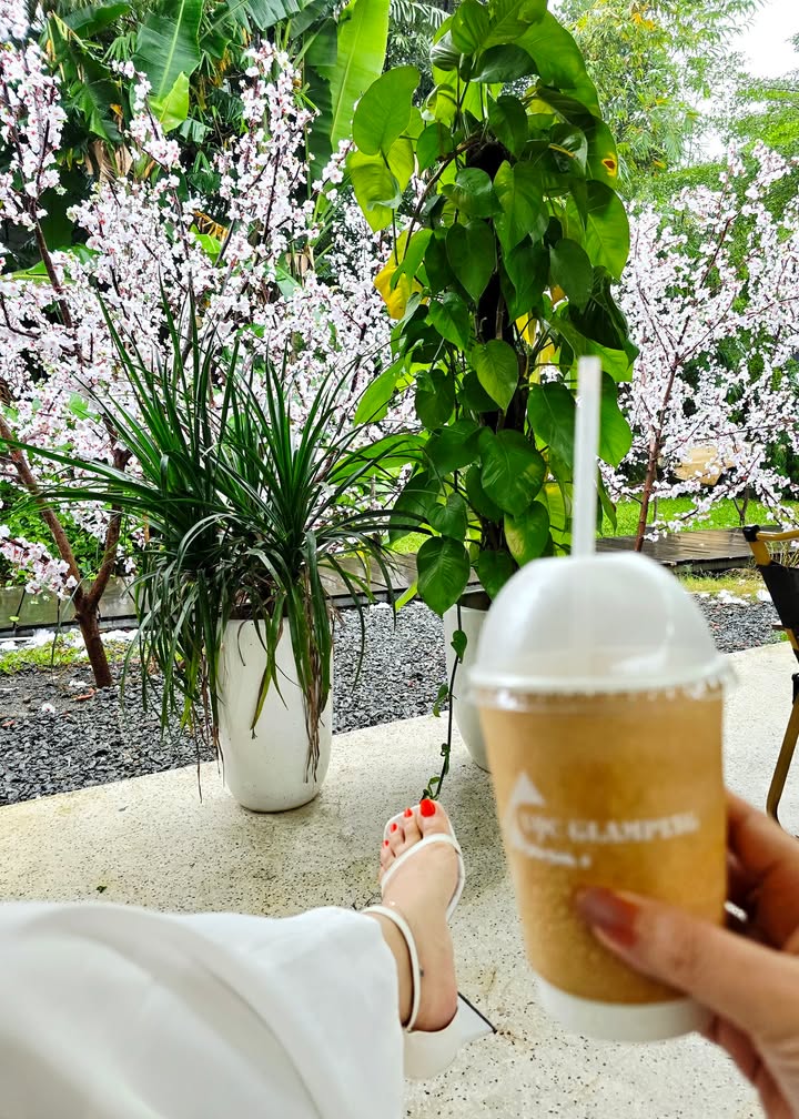 Đất nền đường Phước Lý 6, quận Liên Chiểu, Đà Nẵng 105m² giá 4.2 tỷ - Đầu tư sinh lời ngay!