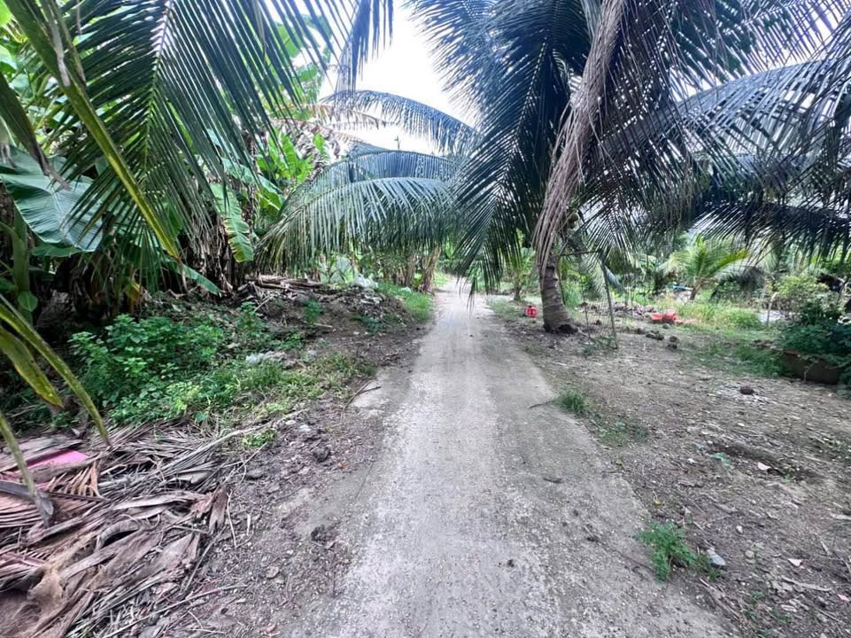 Đất công Phường Sơn Đông 1586m² giá 1.25 tỷ - Đất vuông đẹp, vị trí thuận lợi!