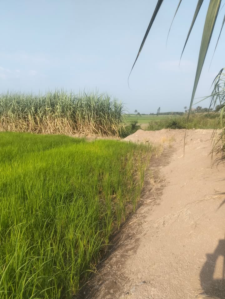 Đất nền Phước Khánh Nhơn Trạch 4000m² giá chỉ 5.5 tỷ - Cơ hội đầu tư hấp dẫn!