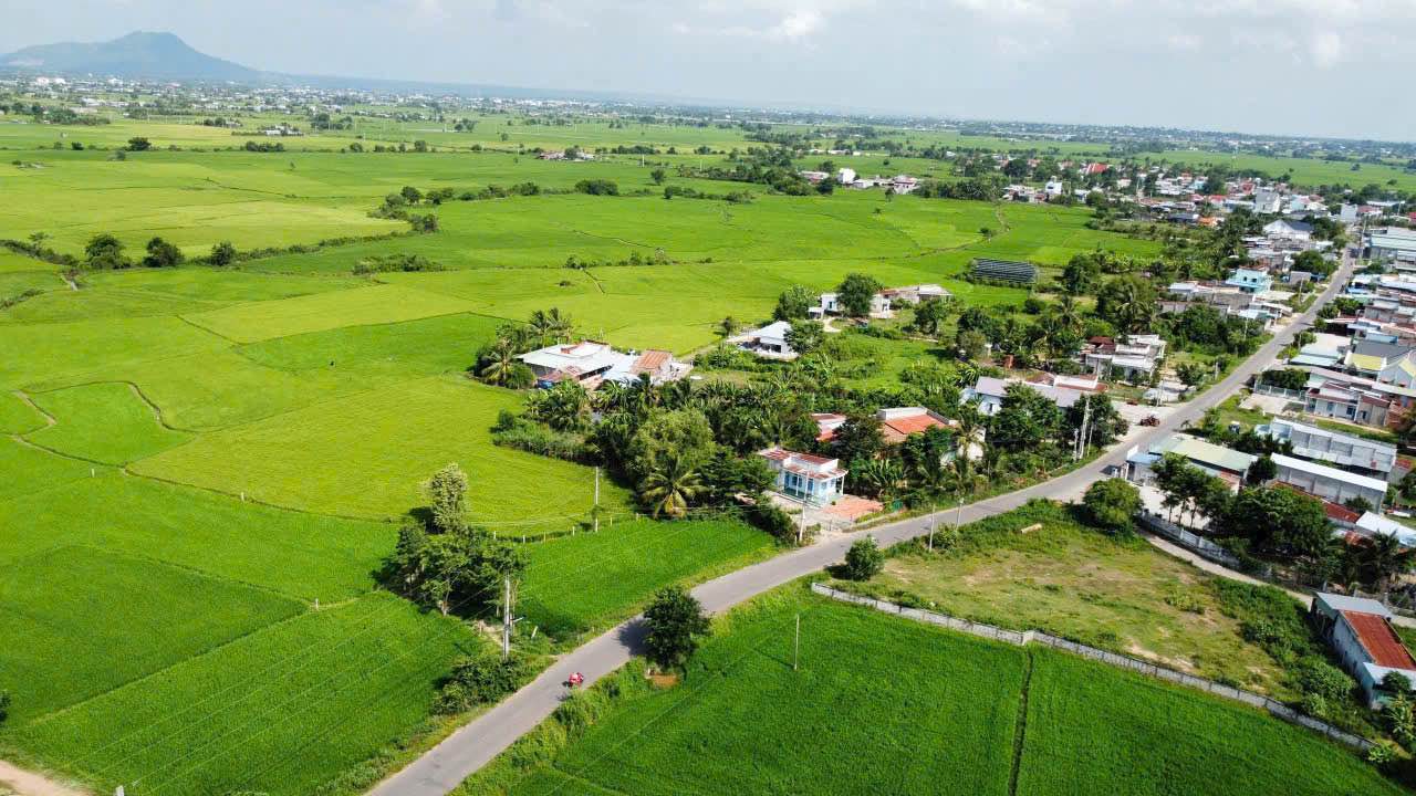 Đất nền mặt tiền đường nhựa Hàm Phú 800m² giá 690 triệu - Gần khu dân cư đông đúc!