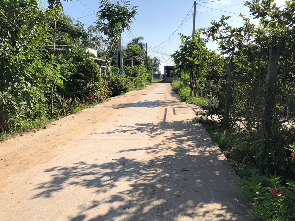 Đất nền 363m² tại Ấp 2, Mỹ Hạnh - Giá thỏa thuận, sổ đỏ chính chủ!