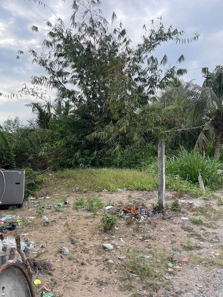 Đất thổ cư Bến Lức 5x15m và 5x23m giá 660 triệu - Cơ hội đầu tư hiếm có!