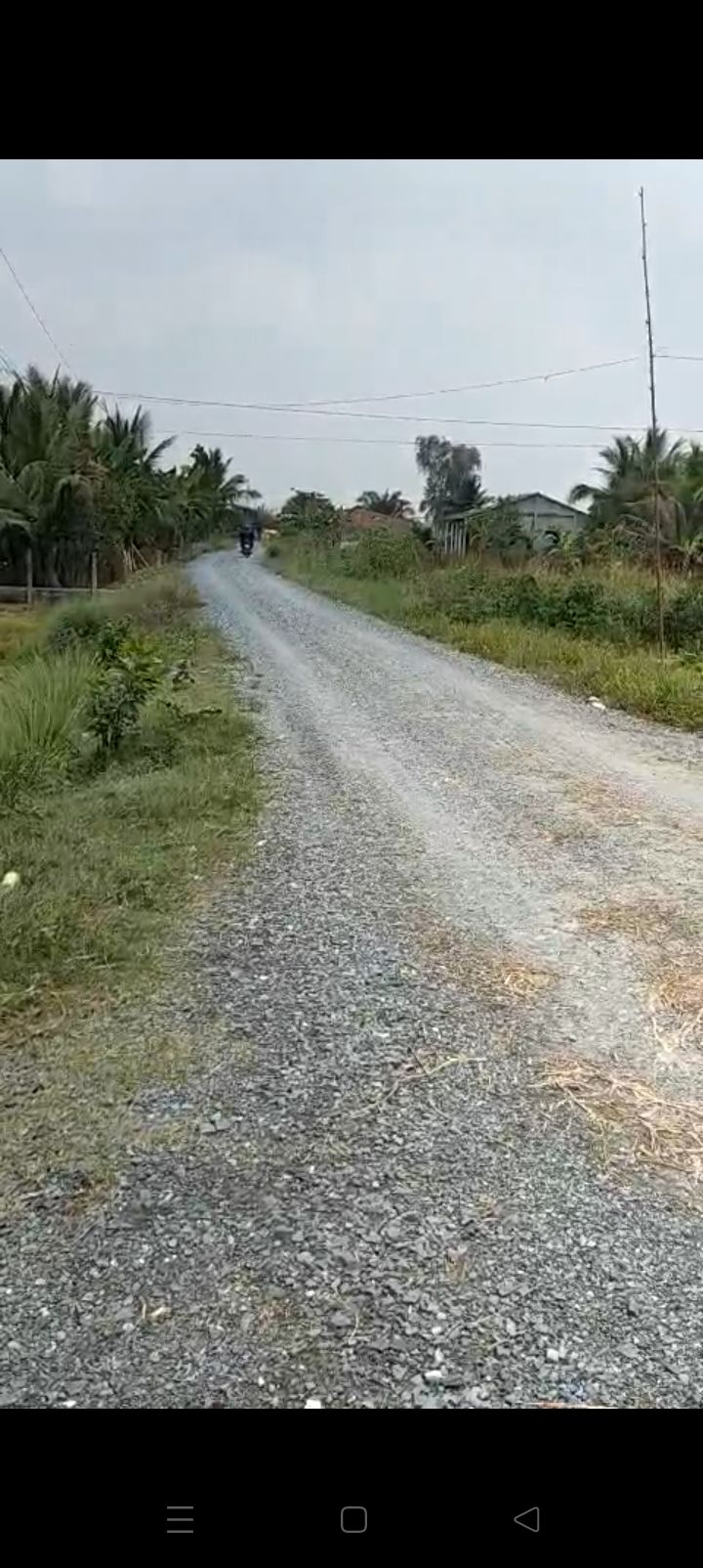 Đất lúa 900m² xã Mỹ Phú, huyện Thủ Thừa, giá 1.35 tỷ - Đầu tư sinh lời ngay!