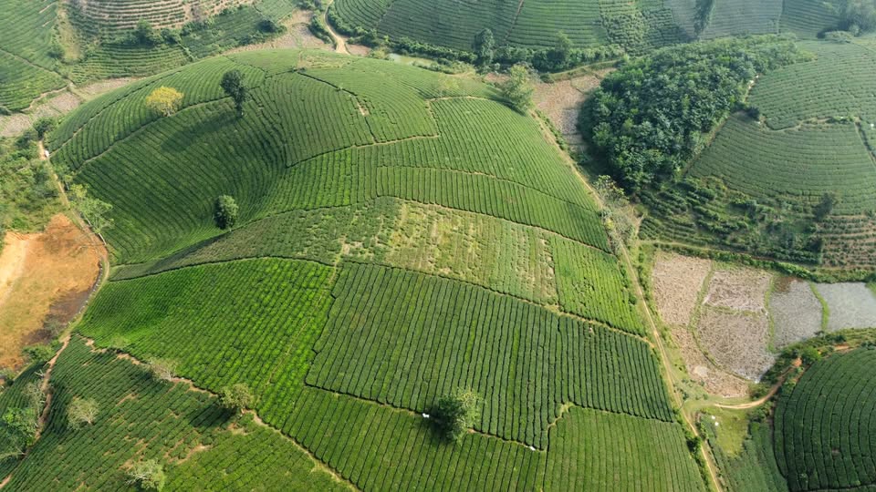 Đất CLN 1400m² tại Long Cốc, Tân Sơn - Giao thông thuận tiện, giá thỏa thuận!