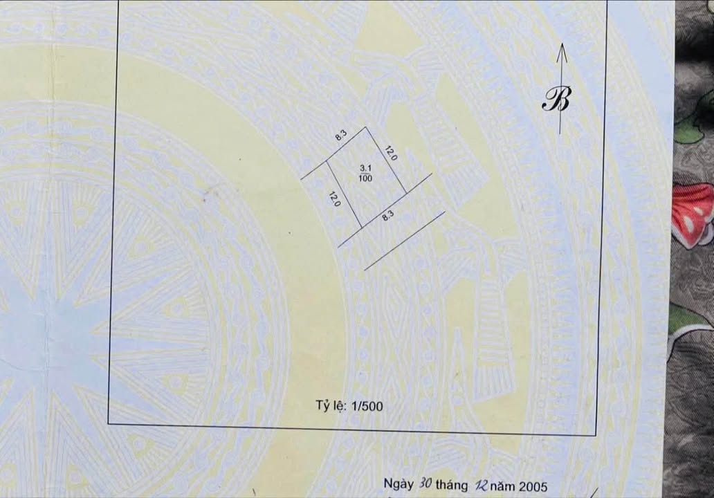 Đất mặt phố Lĩnh Nam Hoàng Mai 100m² - Đầu tư tiềm năng giá tốt!