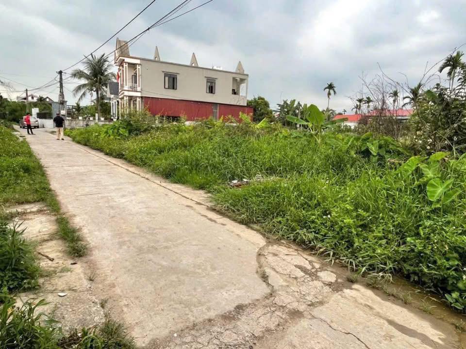 Đất nền Vạn Phúc Ninh Giang 81m² giá chỉ 5xx triệu - Đầu tư sinh lời hấp dẫn!