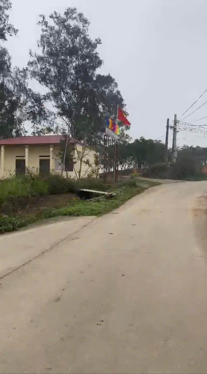 Lô đất Tam Nông 50m² giá 300 triệu - Đầu tư sinh lời ngay!