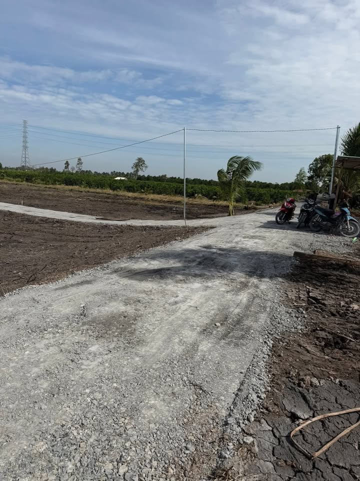 Đất nền 730m² tại Bình Đức, Bến Lức - Giá chỉ 550 triệu - Cơ hội đầu tư tuyệt vời!