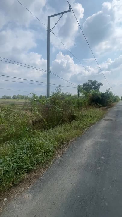 Đất Farm mặt tiền đường nhựa Tây Kênh 14.764m² giá 3.248 tỷ - Cơ hội đầu tư tốt!