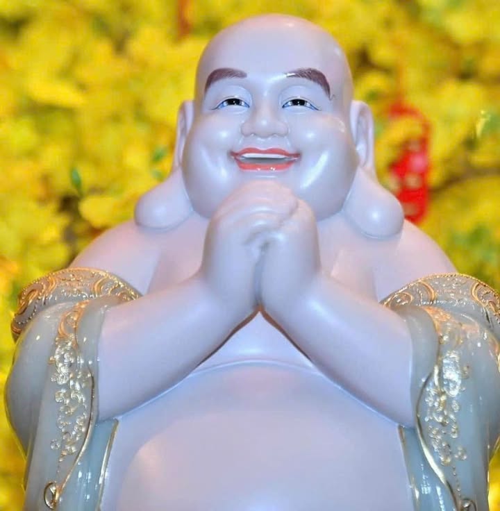 Đất nền Hoằng Phú, 200m² mặt tiền 8m - Vượng khí, giá tốt!