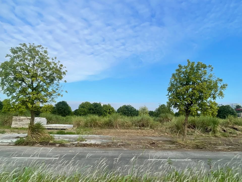 Biệt thự siêu vip Liêm Tuyền, Phủ Lý 200m² - Đầu tư sinh lời ngay!