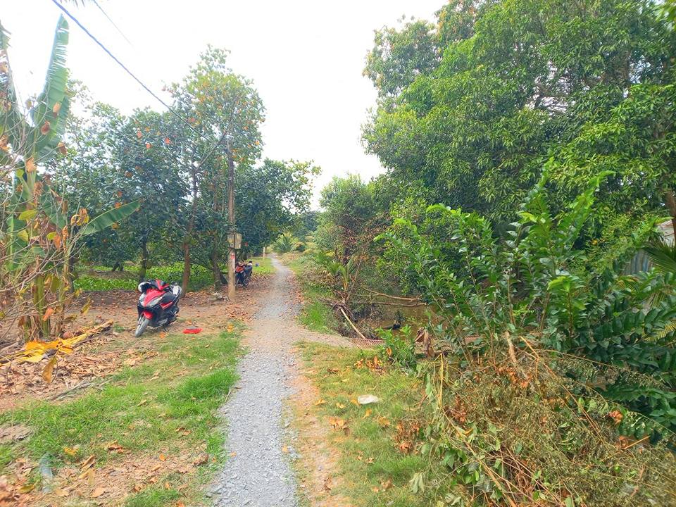 Đất ruộng 6000m² tại Mỹ Hạnh Đông, Cai Lậy - Giá chỉ 1.8 tỷ VND, cơ hội đầu tư tuyệt vời!