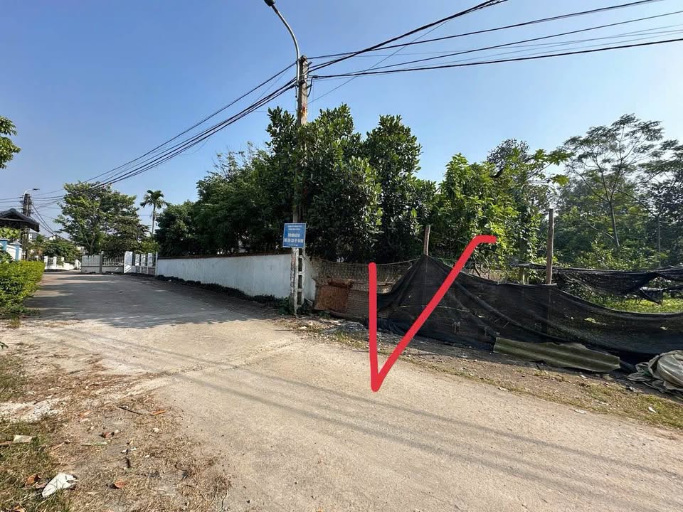 Đất nền Thôn Trại Thanh Vân, Tam Dương 142m² chỉ 1.3 tỷ - Đường ô tô tránh nhau!