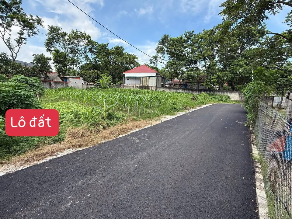 Đất thổ cư 123m² tại Thôn Quang Trung, Tam Dương chỉ 700 triệu - Cơ hội đầu tư tuyệt vời!