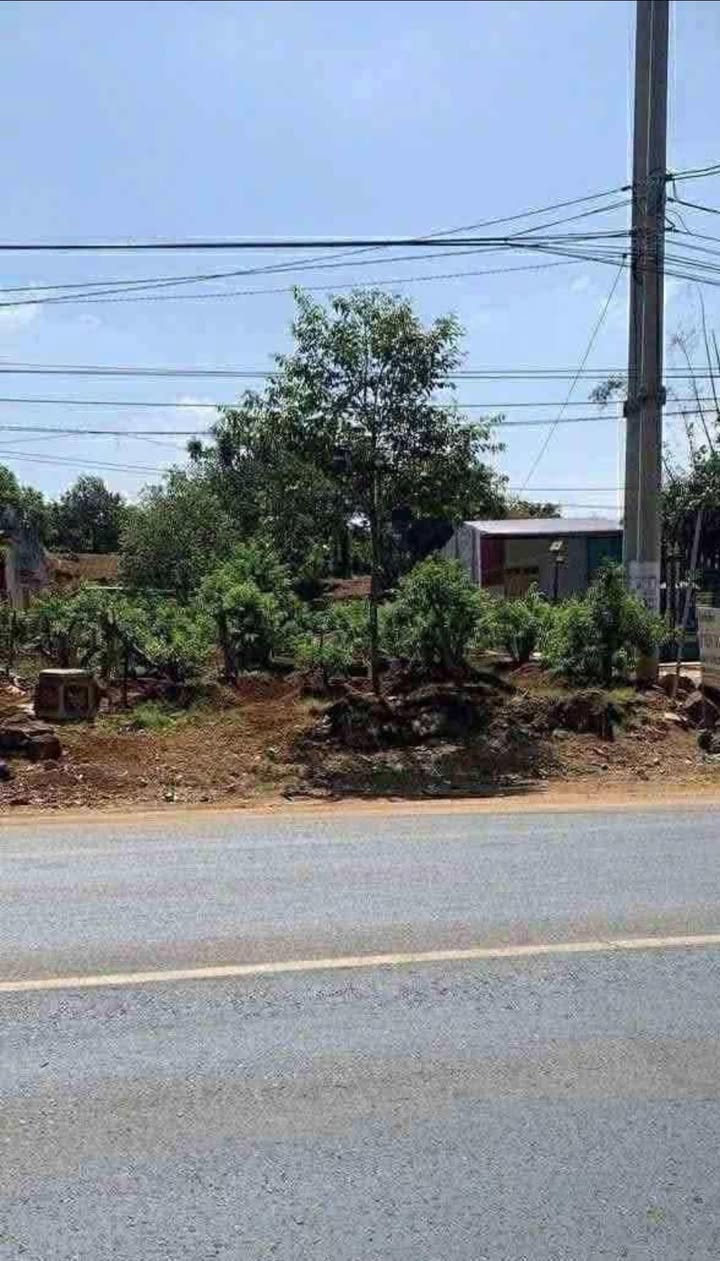 Đất mặt tiền quốc lộ 14 Hùng Vương, Thiện An, 270m² giá 3.8 tỷ - Cơ hội đầu tư tuyệt vời!