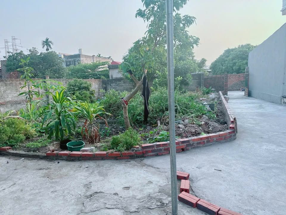 Nhà cấp 4 Hoàng Giám, Chí Linh 327m² giá 1 tỷ - Vị trí đẹp, ô tô vào tận cửa!