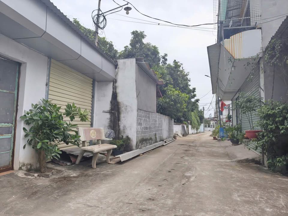 Đất Phố Nhân Mỹ 100m² giá 1.3 tỷ - Tặng nhà cấp 4 sẵn ở!