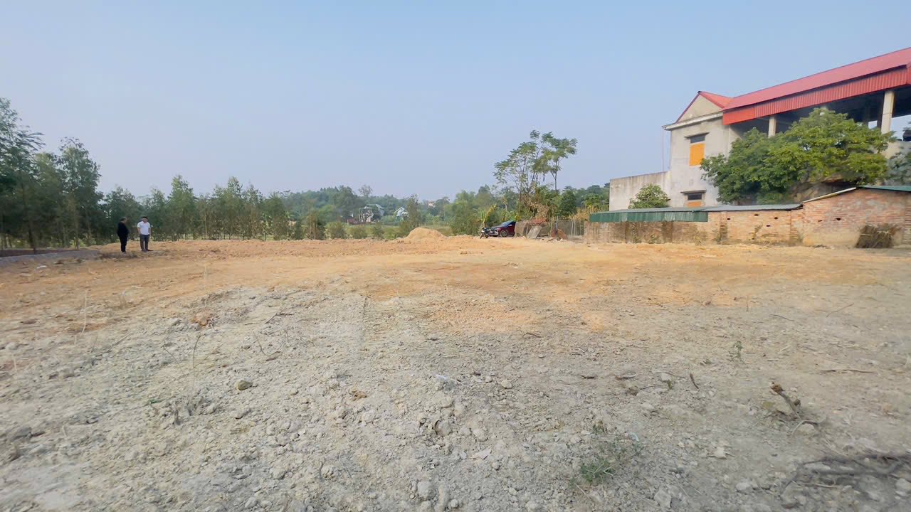 Đất thổ cư Tam Sơn Sông Lô 655m² giá 1.9 tỷ - Đầu tư sinh lời ngay!