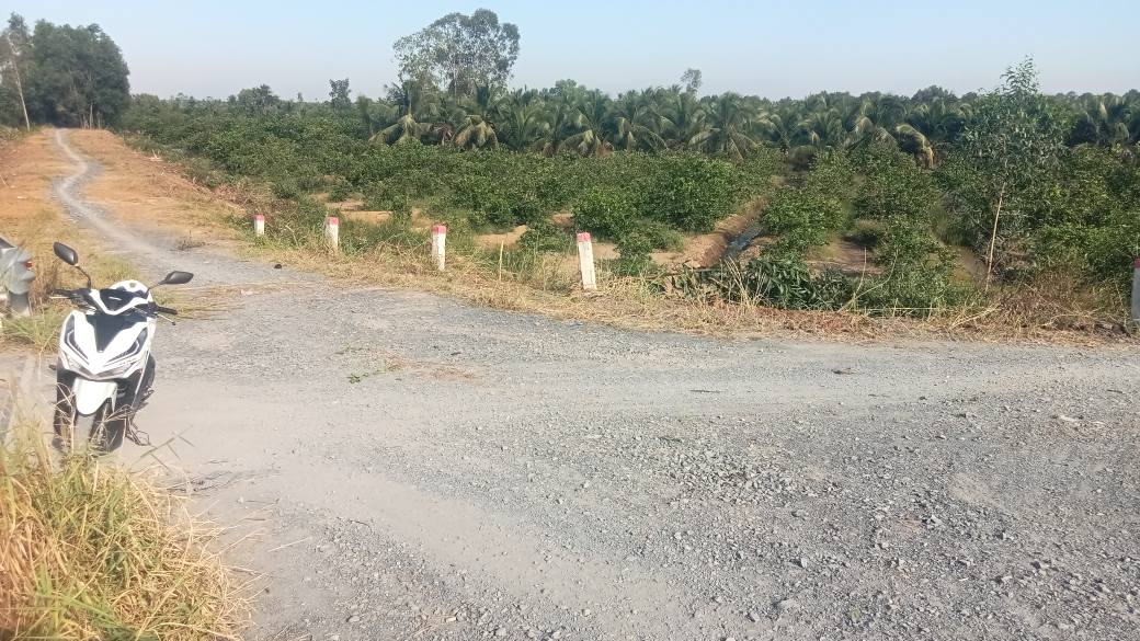 Đất vườn 585m² Thạnh Hoà Bến Lức giá chỉ 350 triệu - Sổ đỏ chính chủ!