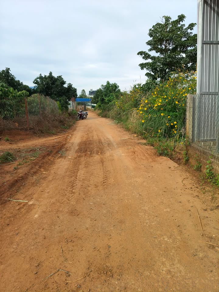 Đất thổ cư Tà Năng 20000m² giá 7.8 tỷ - Đầu tư sinh lời hấp dẫn!