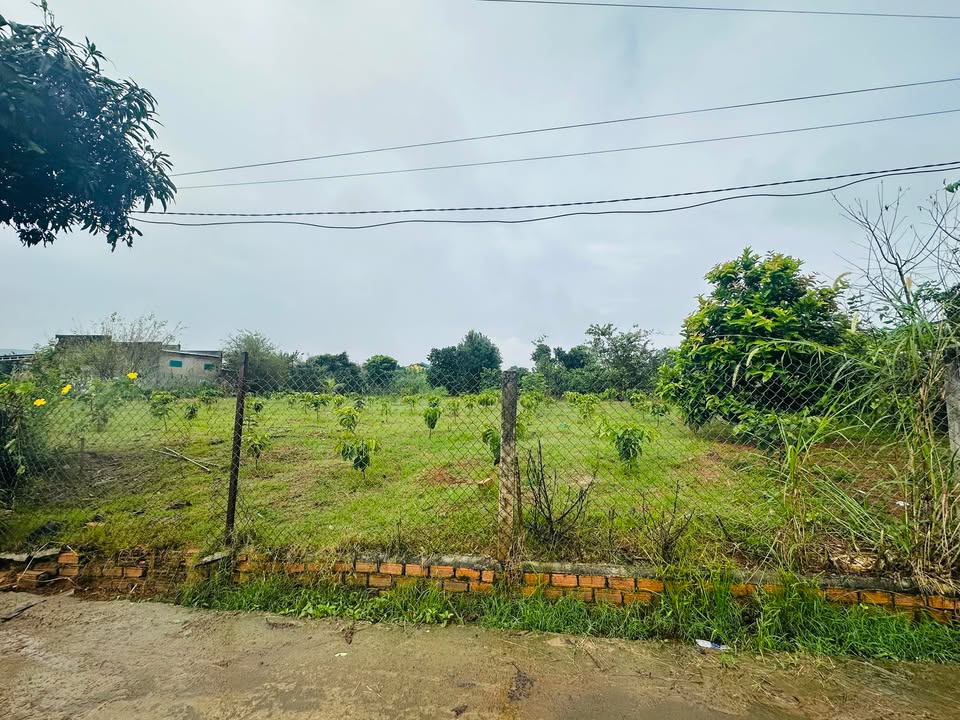 Đất Lâm Hà 3226m² giá 6.1 tỷ - Sổ hồng chính chủ, xây dựng ngay!