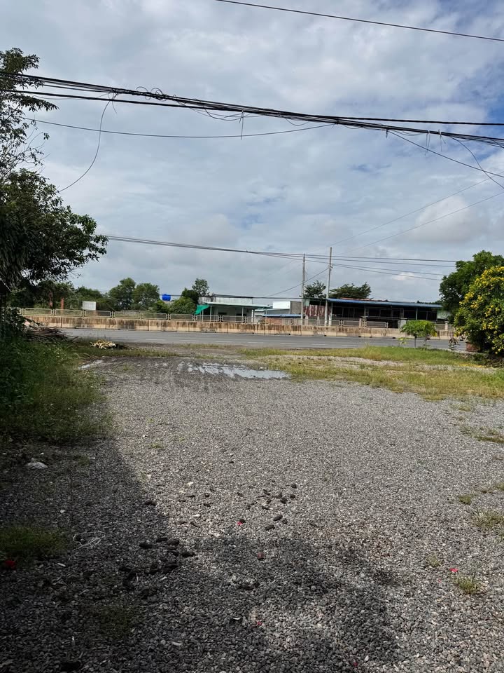 Vựa Thanh Long mặt tiền Quốc Lộ 1A, Hàm Đức 1864m² - Đầu tư sinh lời ngay!