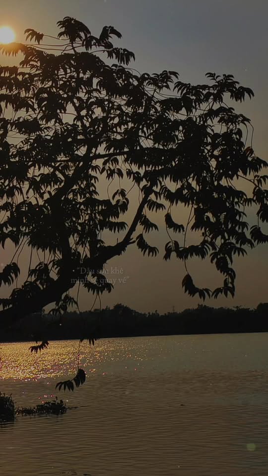 Đất trồng cây Xuân Thới Sơn 1000m² giá 5.5 tỷ - Cơ hội đầu tư hấp dẫn!