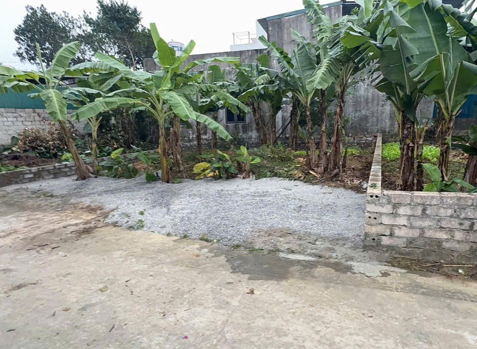 Đất nền lô góc 90m² tại Đông Phương Yên, Chương Mỹ - Giá chỉ 3 tỷ, tiềm năng sinh lời cao!