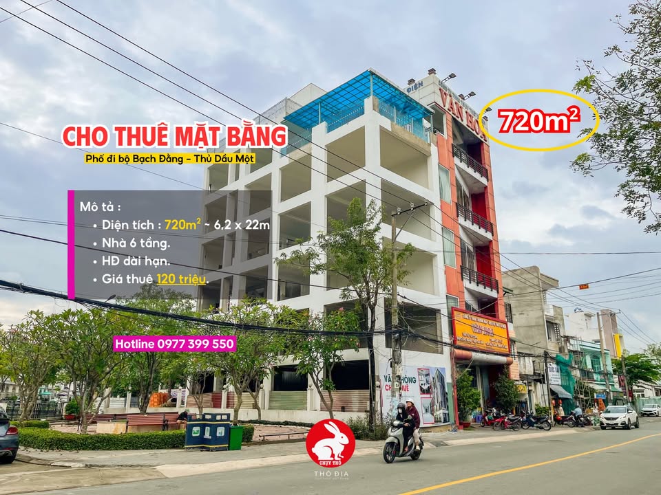 Cho thuê mặt bằng khu phố đi bộ Thủ Dầu Một 720m² - Phù hợp cho spa, văn phòng