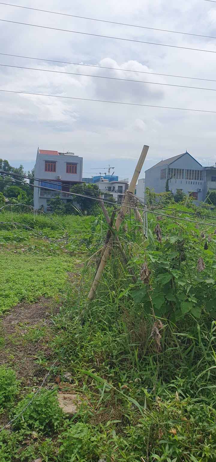 Đất nền An Đồng 124m² giá 550 triệu - Tiềm năng kinh doanh lớn!