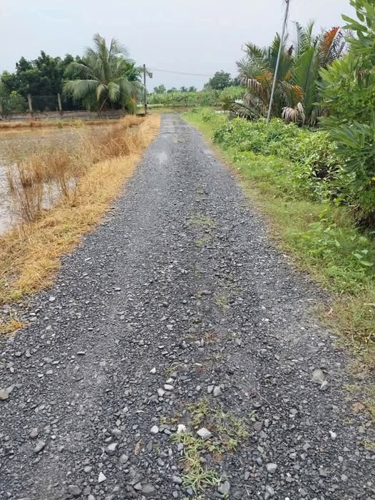 Đất thổ cư Cần Đước 135m² giá 2.2 tỷ - Đầu tư sinh lời ngay!