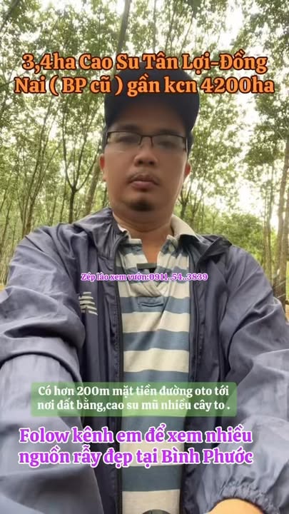 Đất Farm 3,4ha Tân Hòa, Đồng Phú - Cơ hội đầu tư sinh lời hấp dẫn!