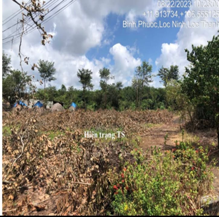 Đất thổ cư 1513m² xã Lộc Thạnh, 1 tỷ - Cơ hội đầu tư tuyệt vời!