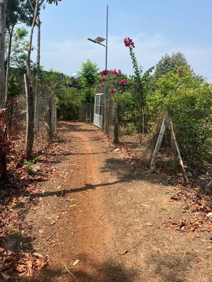 Đất nền Lộc Khánh 432m² giá 240 triệu - Sổ đỏ chính chủ, vị trí đẹp!