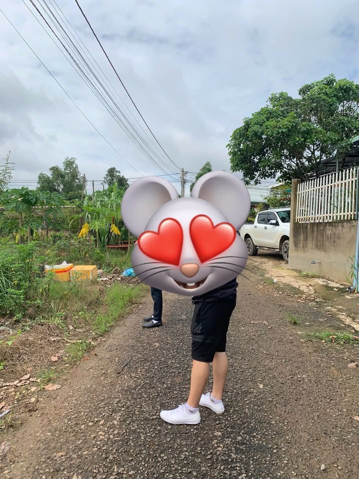 Đất nền Tân Đồng 2500m² giá 900 triệu - Đầu tư sinh lời ngay!